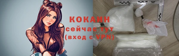 спиды Абаза