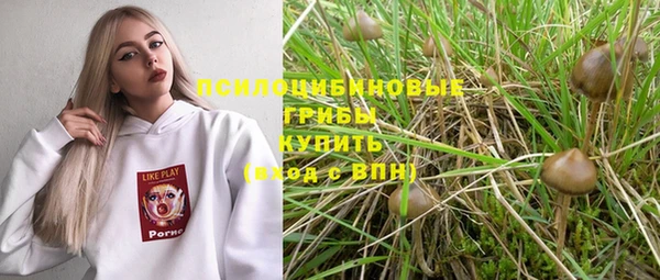 соль ск Алексин